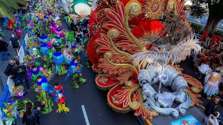 Transfer to Tenerife Carnival from the North – 21.02.2023